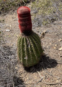 Hike to Jack and Isaac’s Bay